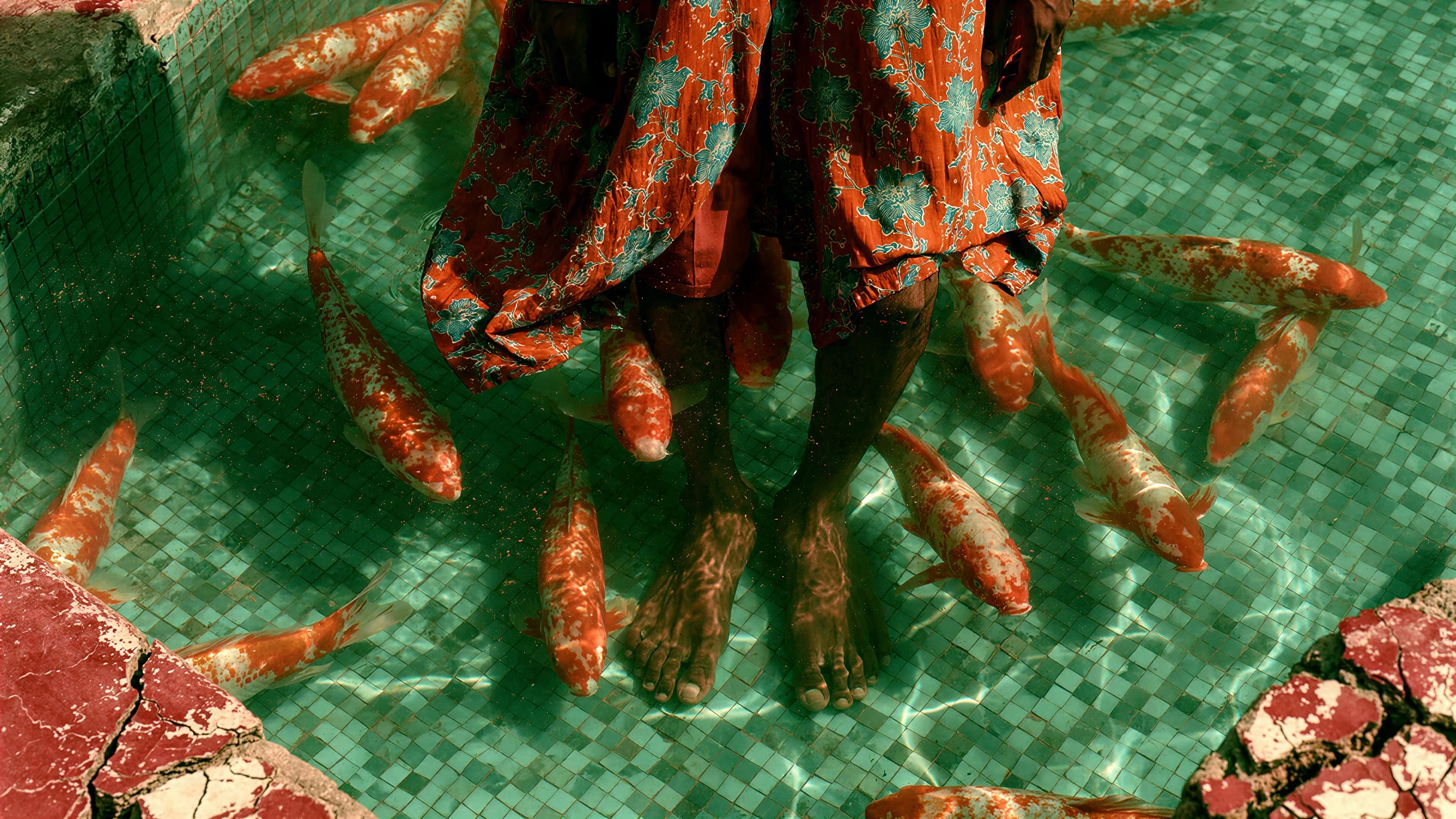 Two figures in batik among koi in a turquoise pool